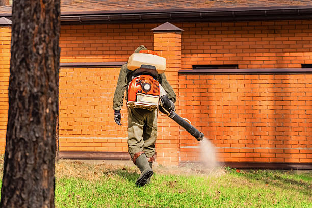Bed Bug Clearance Verification and Documentation in Southaven